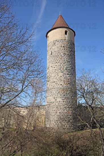 Historic owl defence tower with town wall, town fortification, defence tower, Iphofen, Lower Franconia, Franconia, Bavaria, Germany, Europe