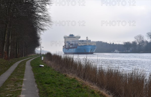 Container ship Laura Maersk travelling through the Kiel Canal, Kiel Canal, Schleswig-Holstein, Germany, Europe