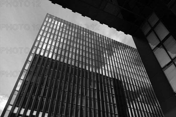 Building in the media harbour, black and white, Duesseldorf, Germany, Europe