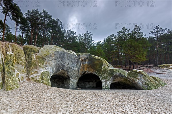 The Sandhoehlen, sandstone caves in forest called Im Heers below the crags of Regenstein near Blankenburg, Harz, Saxony-Anhalt, Germany, Europe