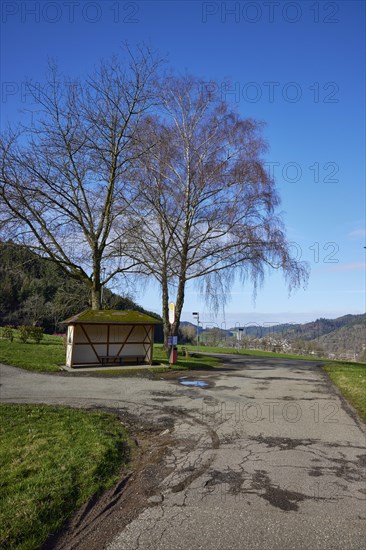 Bus bend, bus stop with bus shelter and wintry trees in Waldkirch, Emmendingen district, Baden-Wuerttemberg, Germany, Europe