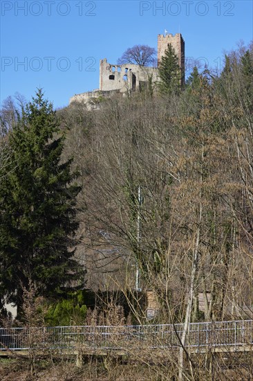 Kastelburg ruins with wintry trees in Waldkirch, Emmendingen district, Baden-Wuerttemberg, Germany, Europe