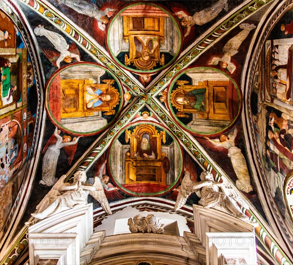 Ceiling frescoes, Duomo di San Marco, old town centre with magnificent aristocratic palaces and Venetian-style arcades, Pordenone, Friuli, Italy, Pordenone, Friuli, Italy, Europe