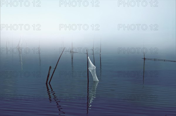 Fish trap, Steinhuder Meer, Steinhude, Lower Saxony, Germany, Europe