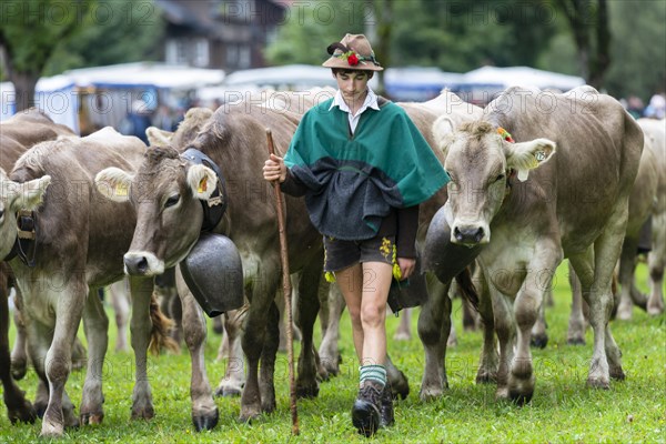 Viehscheid, Bad Hindelang, Oberallgaeu, Bavaria, Germany, Europe