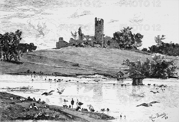 Ruin Eulenburg in Hamburg Zoo, hill, lake, waterfowl, park, tower, Free and Hanseatic City of Hamburg, Germany, historical illustration 1880, Europe