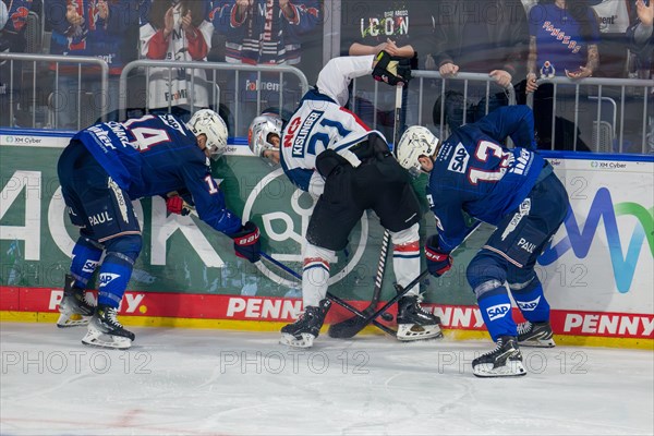 Battle for the puck at the boards. In the picture Stefan Loibl (13, Adler Mannheim), Jordan Szwarz (14, Adler Mannheim) and Maximilian Kislinger (21, Nuernberg Ice Tigers)