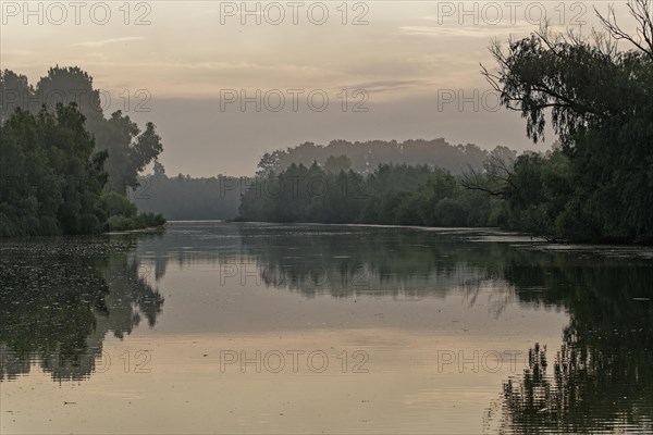 Morning mist over the water in the UNESCO Danube Delta Biosphere Reserve. Munghiol, Tulcea, Romania, Europe