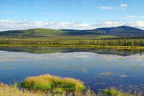 Tranquil lakes and forests, water reflections, late summer, Alaska Highway, Alaska, USA, North America