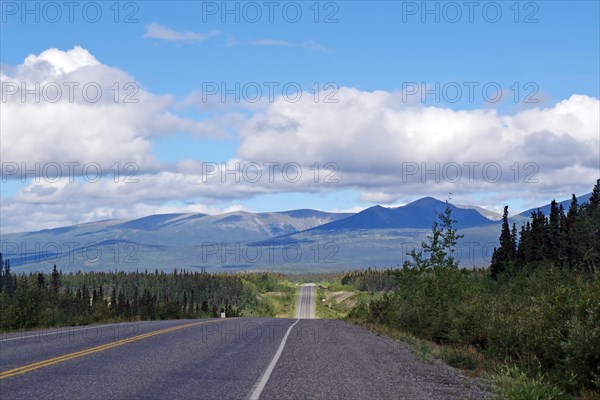 Road without traffic leads through endless forest valleys, late summer, Alaska Highway, Whitehorse, Yukon Territory, Canada, North America