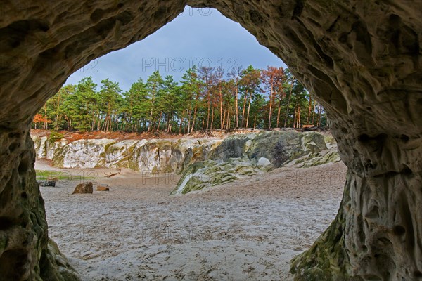 Engravings in the Sandhoehlen, sandstone caves in forest called Im Heers below the crags of Regenstein near Blankenburg, Harz, Saxony-Anhalt, Germany, Europe