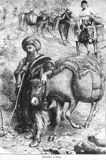 Donkey driver in Cairo, Egypt, donkey, beast of burden, transport, old man, turban, Africa, historical illustration 1890, Africa