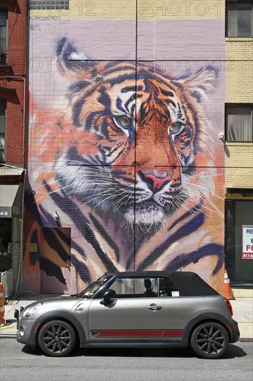 Hand-painted mural with tiger head, in front of a mini convertible, SoHo neighbourhood, Manhattan, New York City, New York, USA, North America
