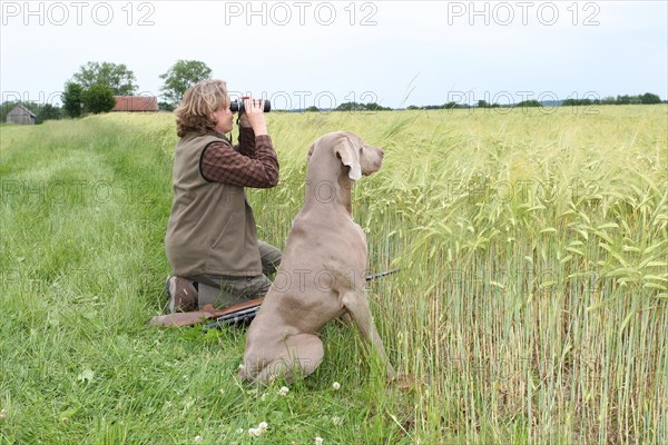 Huntress with binoculars and hunting dog Weimaraner Shorthair looking together over a cornfield, Allgaeu, Bavaria, Germany, Europe