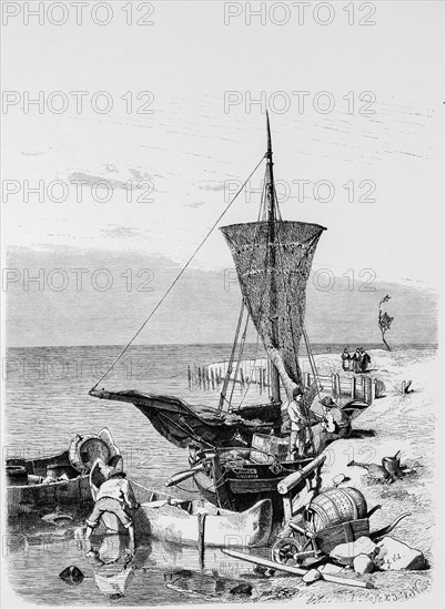 Neustadt fishing boats, Neustadt, Baltic Sea, coast, blessing boat, barrel, rowing boat, profession fisherman, East Holstein, Schleswig-Holstein, Germany, historical illustration 1880, Europe