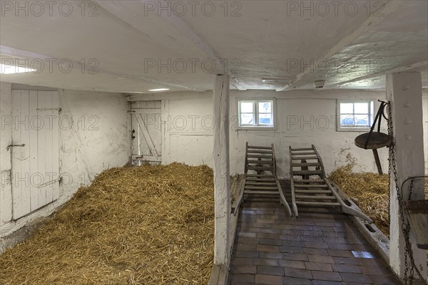 Former cattle shed in a historic farmhouse from the 19th century, Schwerin-Muess Open-Air Museum of Folklore, Mecklenburg-Western Pomerania, Germany, Europe