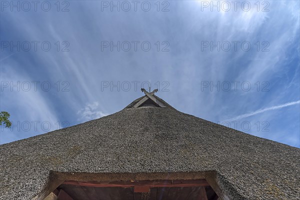 Thatched gable with horse heads as gable decoration on a historic farmhouse from the 19th century, Schwerin-Muess Open-Air Museum of Folklore, Mecklenburg-Western Pomerania, Germany, Europe