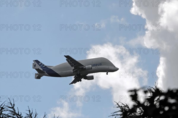 Beluga, Airbus, A300-600, Aircraft, Transport aircraft, Loading, Finkenwerder, An Airbus aircraft in flight with visible engines and partly cloudy sky, Hamburg, Hanseatic City of Hamburg, Germany, Europe
