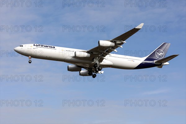A Lufthansa Airbus A340-300 with the name of the city of Dorsten on its approach to Frankfurt Airport, 15 March 2024