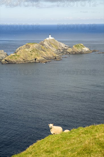 Muckle Flugga lighthouse, Britain's most northerly point, Hermaness, Unst, Shetland Islands