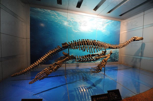 Zigong Dinosaur Museum, china