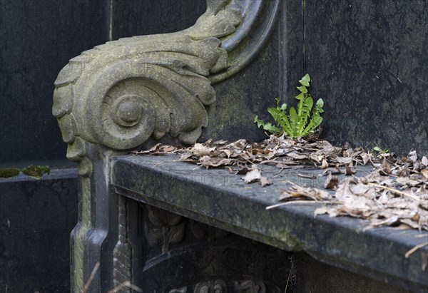 Stone bench next to an old tomb, Kirchof 1 of the Evangelische Georgen-Parochialgemeinde, Greisfswalder Strasse, Berlin, Germany, Europe