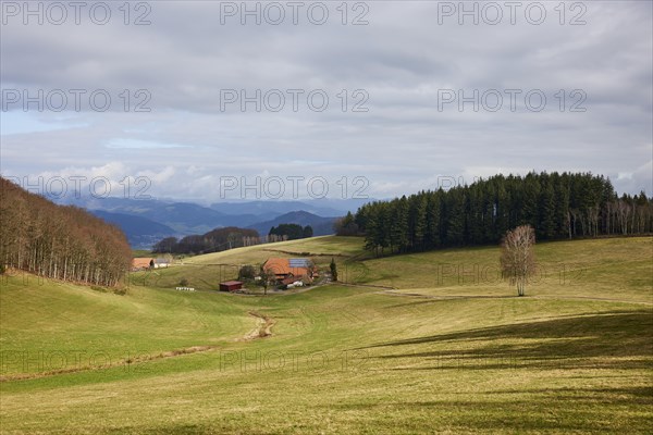 Landscape in the Black Forest with meadows, farmsteads, wooded areas with conifers and haze-covered hills in the background near Hofstetten, Ortenaukreis, Baden-Wuerttemberg, Germany, Europe