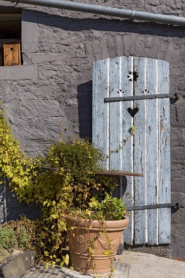 Old farmhouse, facade, decorated, flower pots, knotweed (Fallopia baldschuanica), weathered wooden door with heart, bird house, idyll, romantic, Nidda, Vogelsberg, Wetterau, Hesse, Germany, Europe