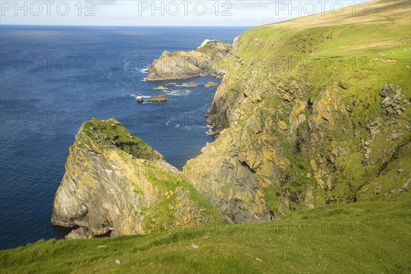 Cliffs coastal scenery, Hermaness, Unst, Shetland islands, Scotland, United Kingdom, Europe