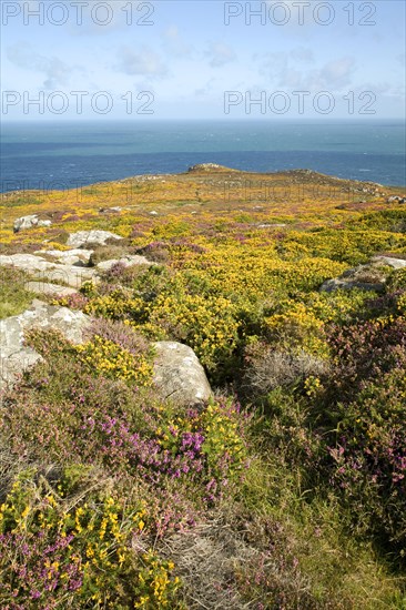 View to sea from Carn Llidi tor, St David's Head, Pembrokeshire, Wales, United Kingdom, Europe