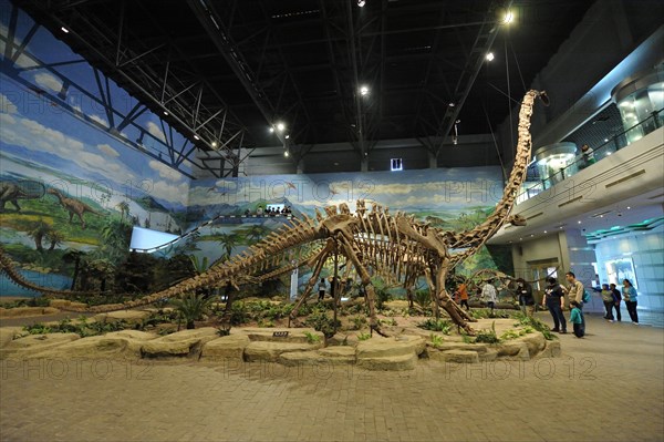 Zigong Dinosaur Museum, china