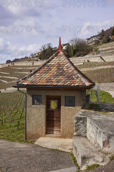 Historic small house with a square floor plan and red roof in the UNESCO World Heritage Site of the Lavaux Vineyard Terraces near Jongny, Riviera-Pays-d'Enhaut district, Vaud, Switzerland, Europe
