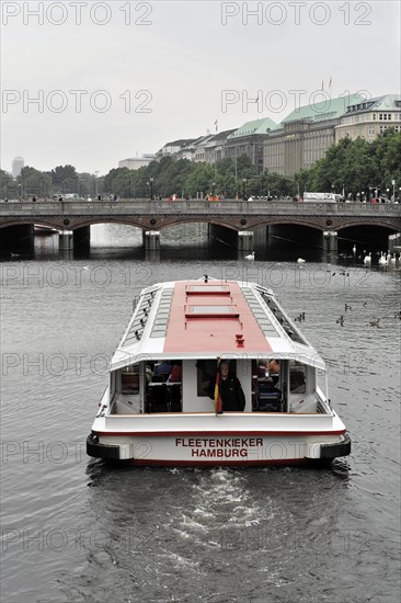 An excursion boat on an urban river under a bridge on a cloudy day, Hamburg, Hanseatic City of Hamburg, Germany, Europe