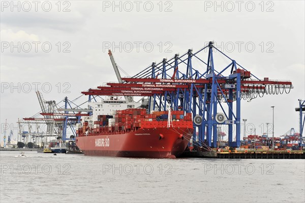 A red container ship in the harbour at a container terminal with numerous cranes, Hamburg, Hanseatic City of Hamburg, Germany, Europe