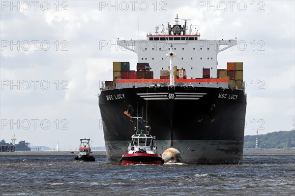 MSC LUCY, bow view of a large container ship, accompanied by tugboats, Hamburg, Hanseatic City of Hamburg, Germany, Europe