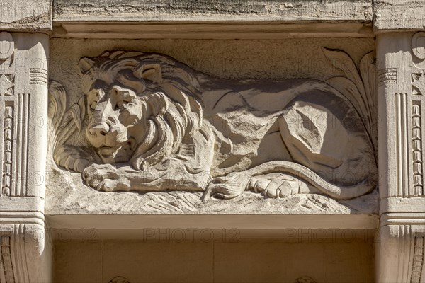 Ornamental console with lion, relief in console under bay window, town house in Art Nouveau style, Seltersweg, old town centre, Giessen, Giessen, Hesse, Germany, Europe