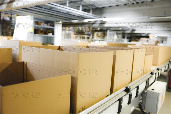 Cartons for dispatch on a conveyor belt in a logistics centre, Cologne, North Rhine-Westphalia, Germany, Europe