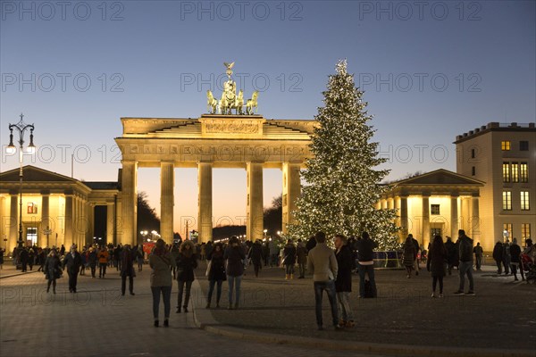 Festively decorated Christmas tree at the Brandenburg Gate, Berlin, 02.12.2016