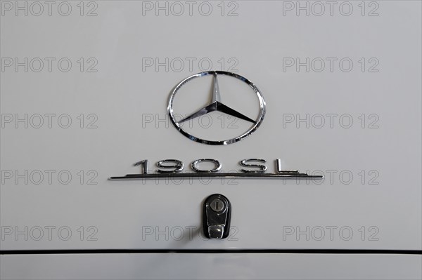 RETRO CLASSICS 2010, Stuttgart Messe, Stuttgart, Baden-Wuerttemberg, Germany, Europe, Close-up of a classic Mercedes-Benz emblem on a white car, Europe