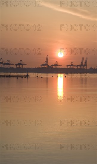 Sunrise over cranes of Port of Felixstowe, Suffolk, England viewed from Harwich