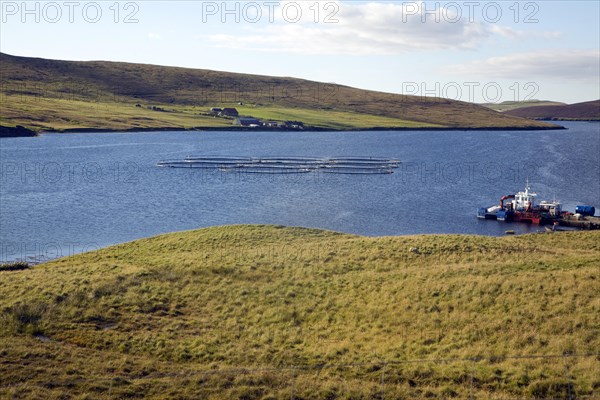 Fish farming cages, Aith Voe, Shetland Islands, Scotland, United Kingdom, Europe