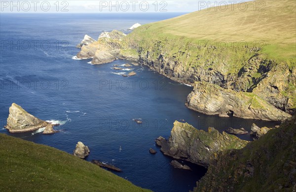 Cliffs coastal scenery, Hermaness, Unst, Shetland islands, Scotland, United Kingdom, Europe