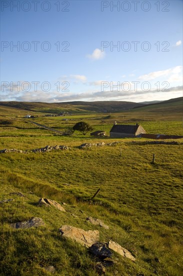 Late afternoon crofting landscape Wethersta, Mainland, Shetland Islands, Scotland, United Kingdom, Europe