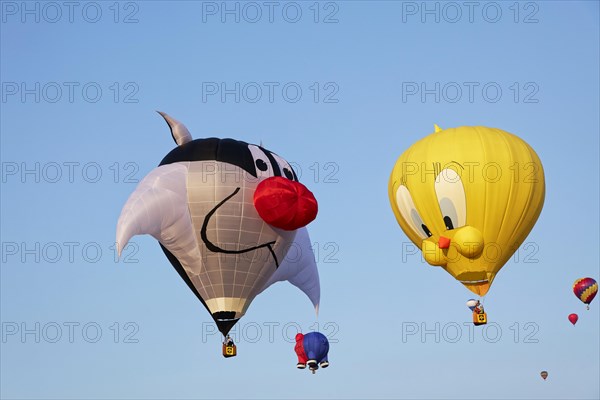 Hot-air balloons, Ballooning Festival, Saint-Jean-sur-Richelieu, Quebec Province, Canada, North America