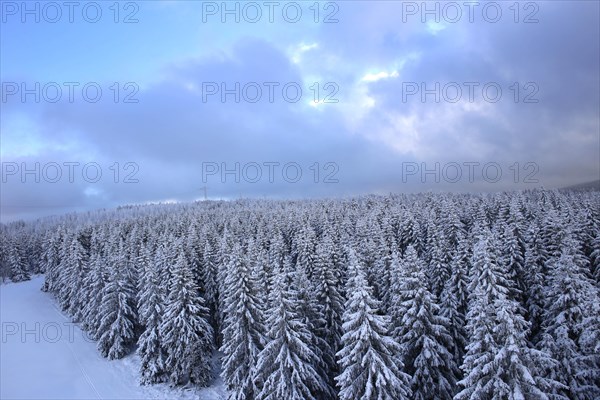 Aerial view of the wintery snow-covered forest with conifers in the Harz Mountains, Torfhaus, 28/11/2015