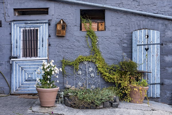 Old farmhouse, facade, decorated, flower pots, dipladenia (Mandevilla boliviensis), knotweed (Fallopia baldschuanica), weathered wooden door with heart, bird house, nesting box, idyll, romantic, Nidda, Vogelsberg, Wetterau, Hesse, Germany, Europe