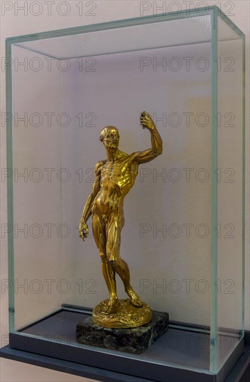 Jean-Antoine Houdon, Muscle Man, gilt bronze, Skulpturensammlug im Bode Museum, Berlin, Germany, Europe