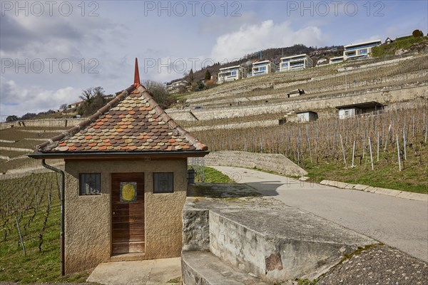 Historic small house with a square floor plan and red roof in the UNESCO World Heritage Site of the Lavaux Vineyard Terraces near Jongny, Riviera-Pays-d'Enhaut district, Vaud, Switzerland, Europe