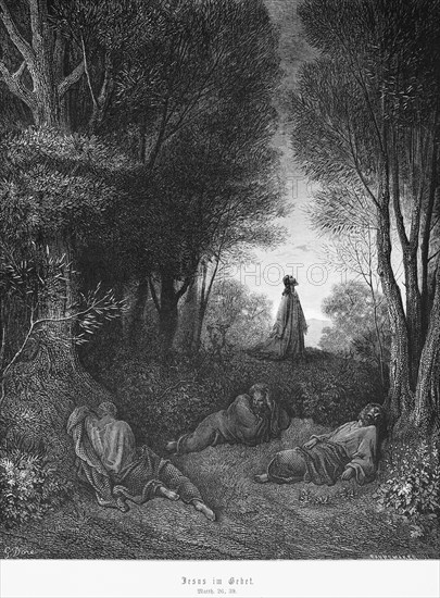 Jesus in prayer, Matthew Evengelium, chapter 26, forest, Peter, two sons, Zebedee, men, light, New Testament, Bible, historical illustration 1886