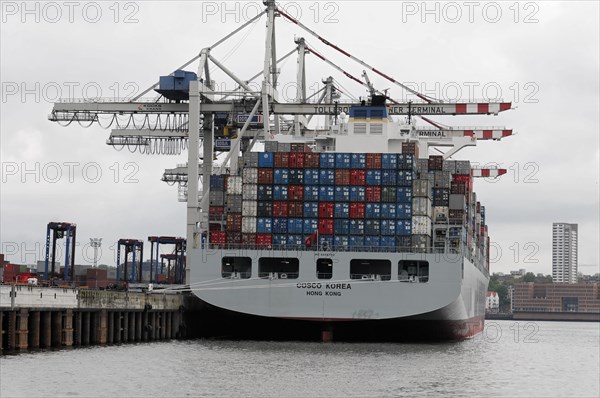 Container ship COSCO KOREA, HONG KONG, at the quay in the harbour with loading cranes in the background, Hamburg, Hanseatic City of Hamburg, Germany, Europe